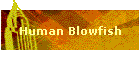 Human Blowfish